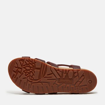 TIMBERLAND Sandals 'Malibu Waves' in Brown