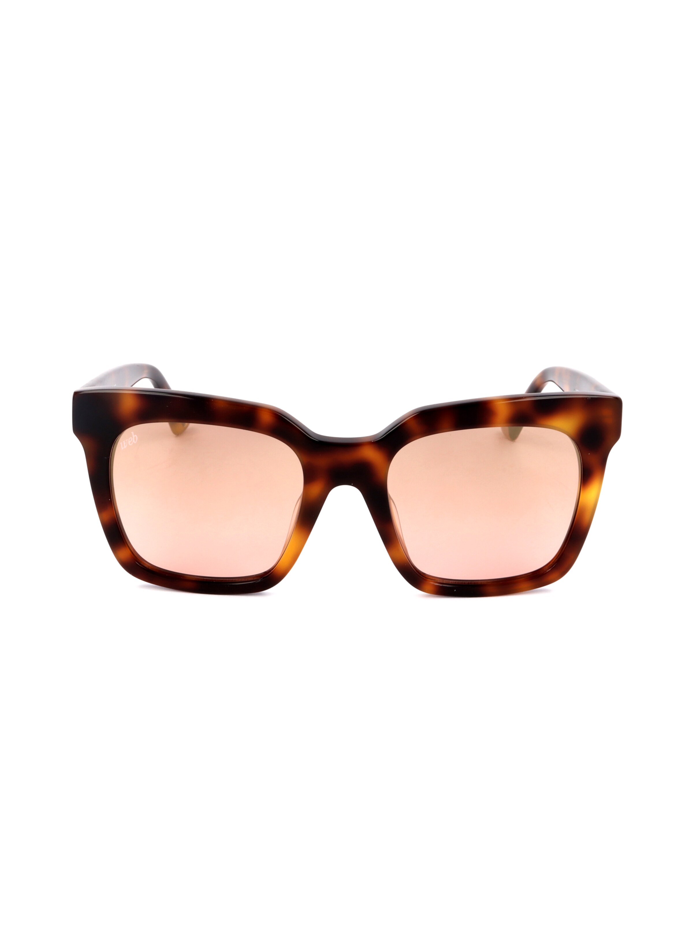 Occhiali da sole 'WE0222' di Web Eyewear in marrone: frontale