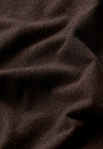 Seasalt Cornwall Shirt 'Easel' in Brown