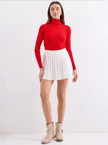 Bigdart Sweater in Red