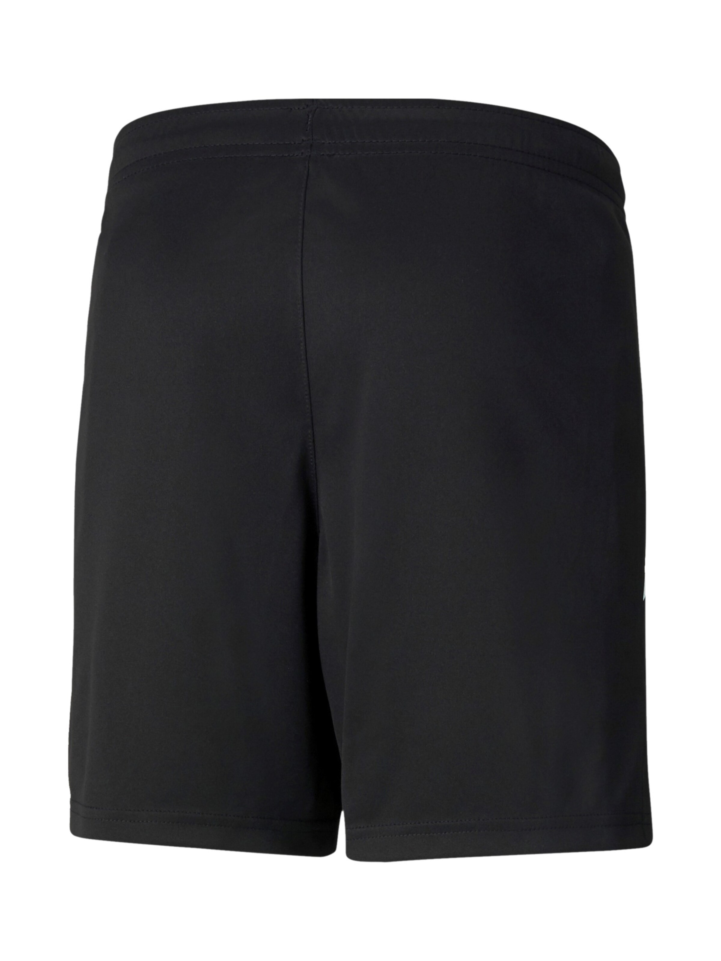 PUMA Regular Workout Pants 'TeamLiga' in Black