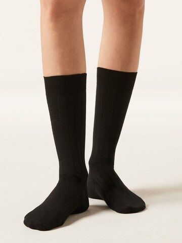 CALZEDONIA Socken in Schwarz: Vorderseite