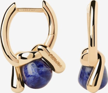 Boucles d'oreilles P D PAOLA en or : devant