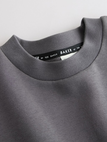 pilka Baker by Ted Baker Treningas