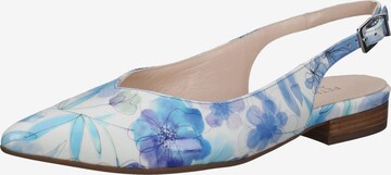 PETER KAISER Ballet Flats in Mixed colors: front