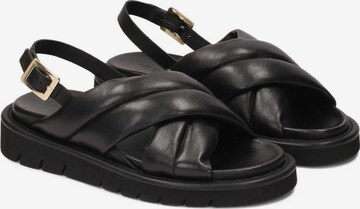 Kazar Strap Sandals in Black
