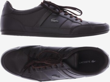 LACOSTE Sneakers & Trainers in 46 in Brown: front