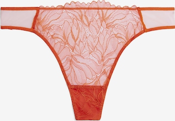Calvin Klein Underwear - Tanga em laranja: frente