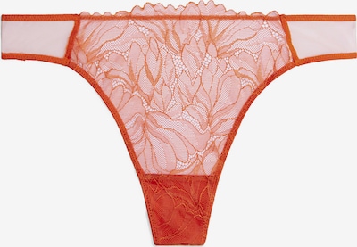 Calvin Klein Underwear String in de kleur Kreeft, Productweergave