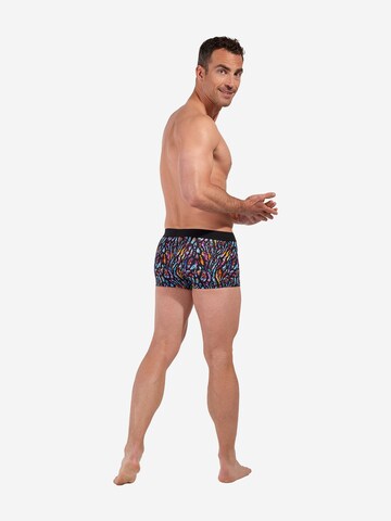 Boxers ' Miami ' HOM en mélange de couleurs