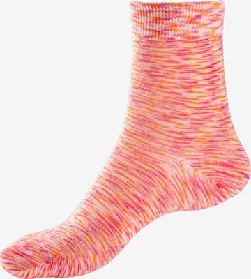 LICO Socks in Mixed colors