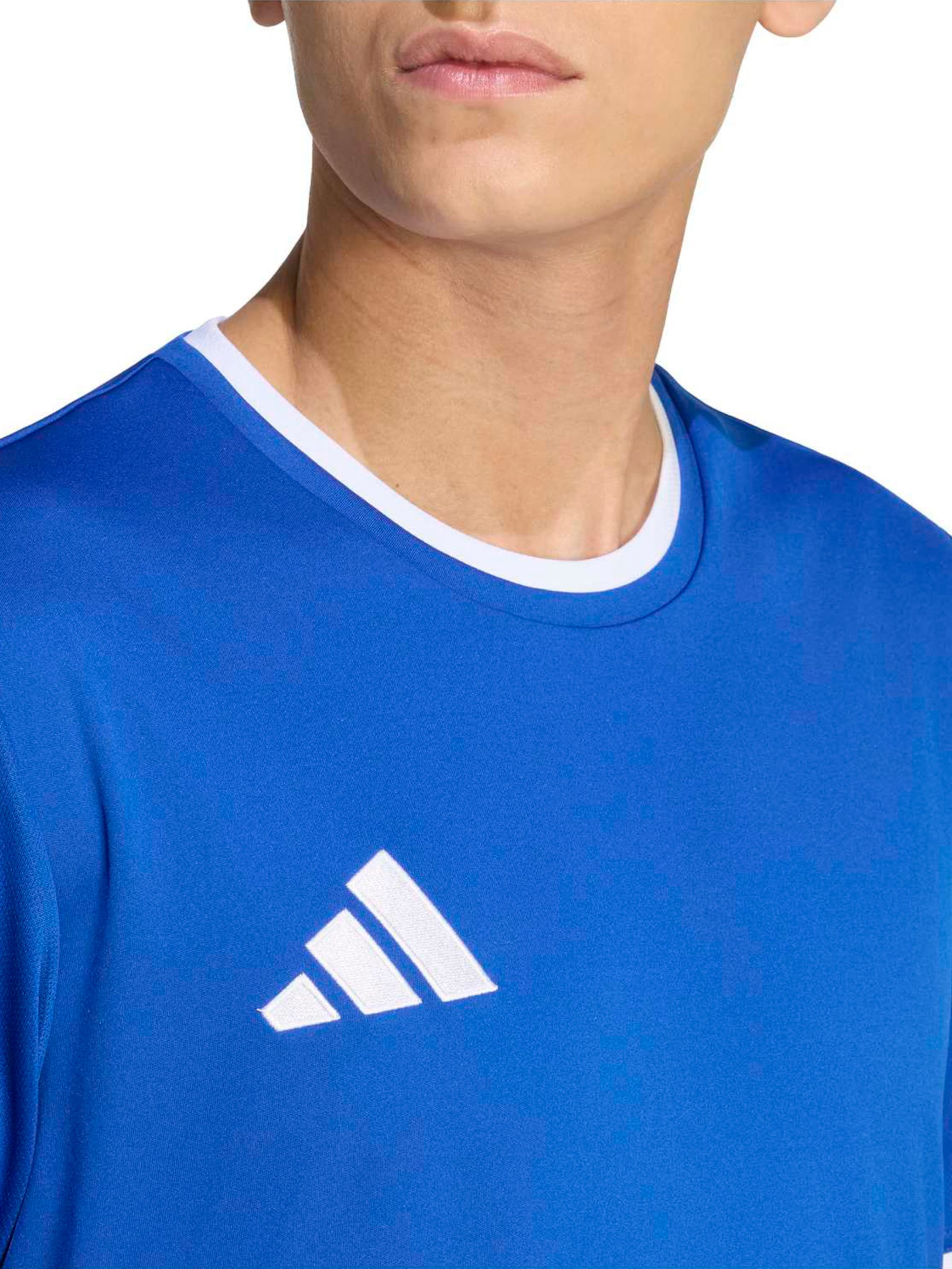 ADIDAS PERFORMANCE Λειτουργικό μπλουζάκι 'ENT26' σε μπλε