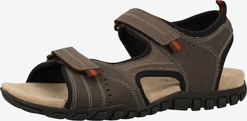 GEOX Hiking Sandals 'Mito' in Brown: front