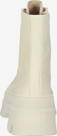 Bottines à lacets STEVE MADDEN en blanc