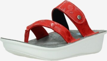 Wolky T-Bar Sandals in Red: front