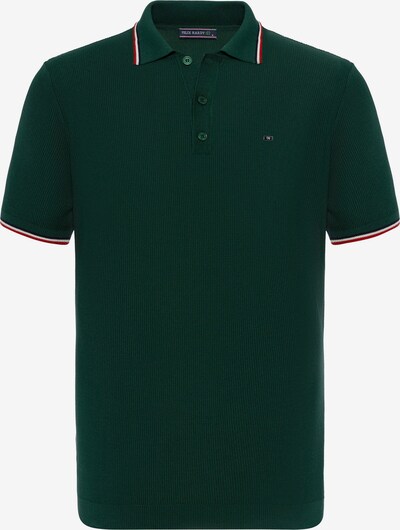 Felix Hardy T-Shirt en marine / vert / rouge / blanc, Vue avec produit