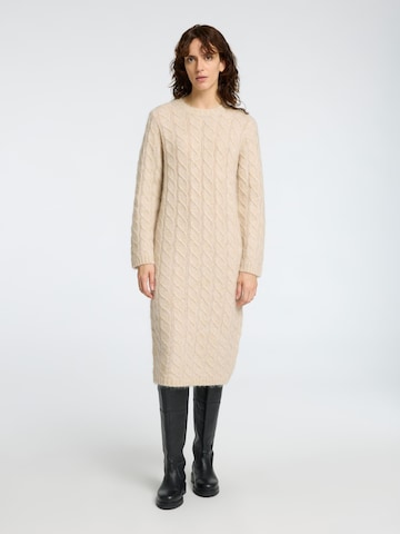 SELECTED FEMME Strickkleid in Beige