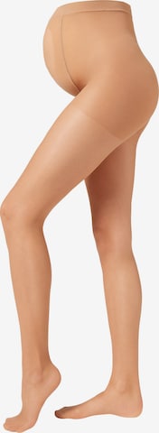 CALZEDONIA Fine Tights 'MATERNITY' in Beige: front