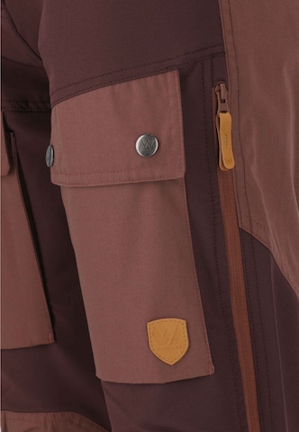 Whistler Regular Outdoor Pants 'ANISSY' in Brown