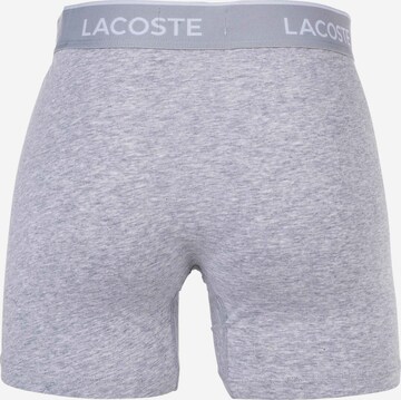 Boxer di LACOSTE in grigio