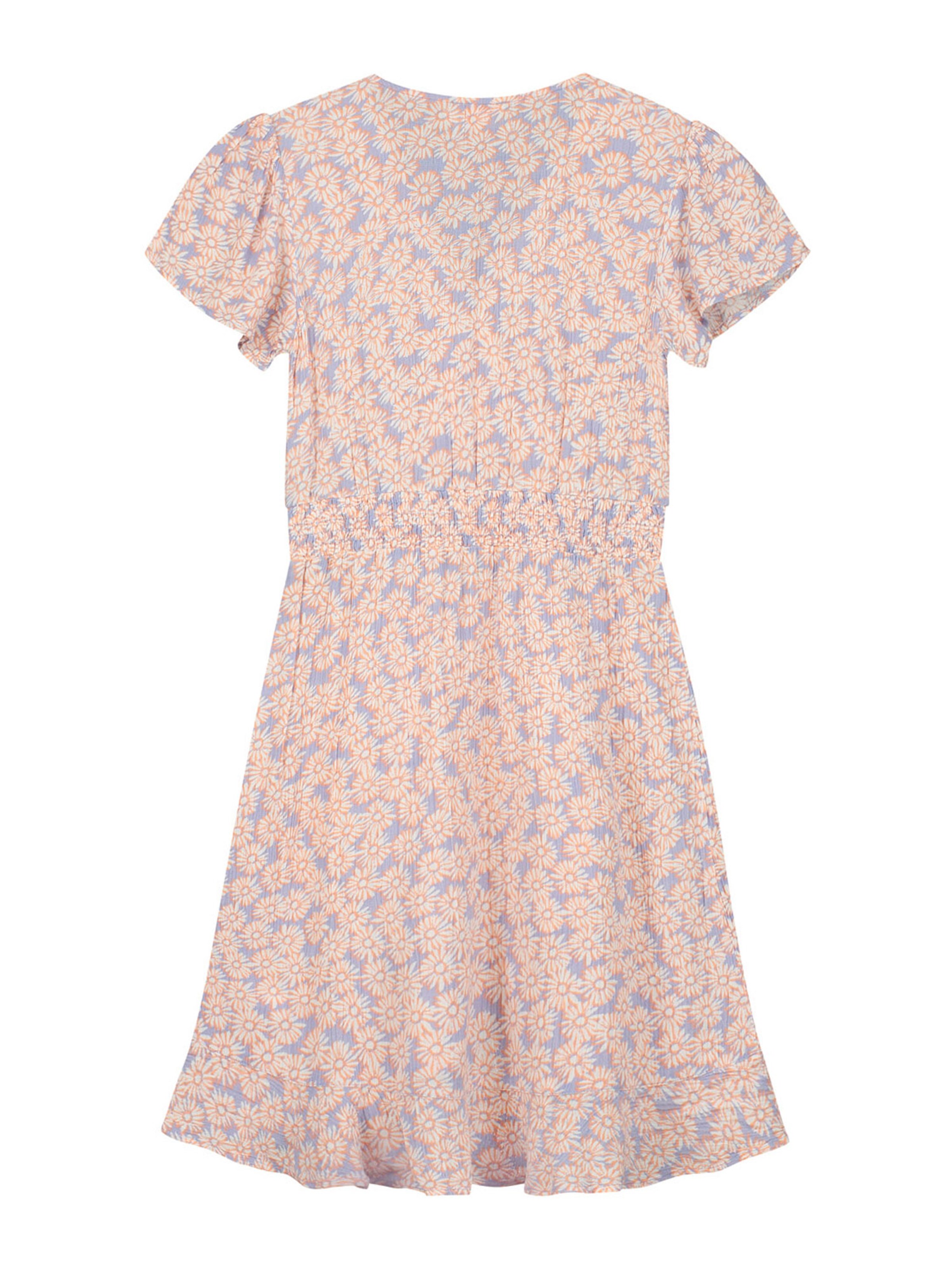 Shiwi Dress 'SANTA CRUZ' in Pink