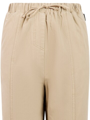 PROTEST Regular Trousers 'PRTOlympic' in Brown