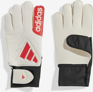 ADIDAS PERFORMANCE Sporthandschuhe 'Copa' in Weiß: Vorderseite