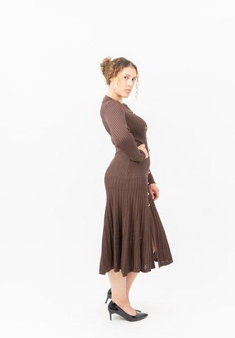 Elara Knit dress in Brown