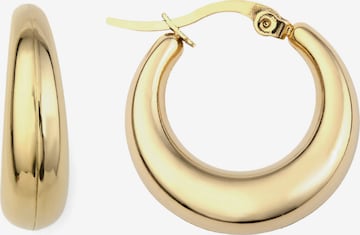 Heideman Earrings in Gold: front