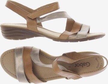 GABOR Sandals & High-Heeled Sandals in 41,5 in Brown: front