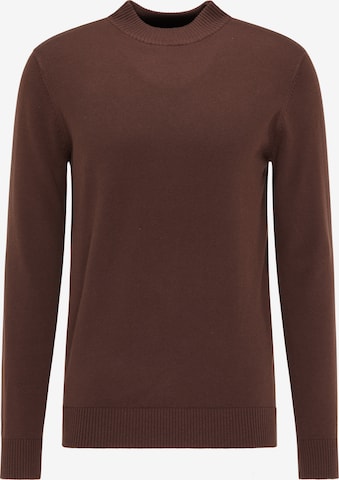 Pull-over RAIDO en marron : devant