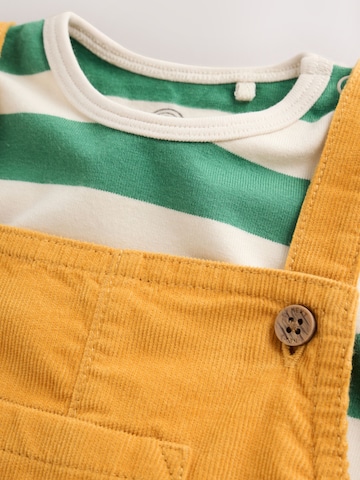 Next Tapered Set in Gelb