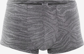 Boxers ' RED2313 ' Olaf Benz en gris : devant