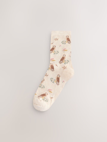 Next Socks in Mixed colours