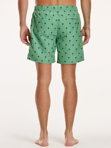 Shiwi Plavecké šortky 'PALM' - Zelená