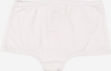 JACKY Underpants in Pink