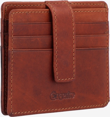 Esquire Wallet 'Oslo Dallas' in Brown