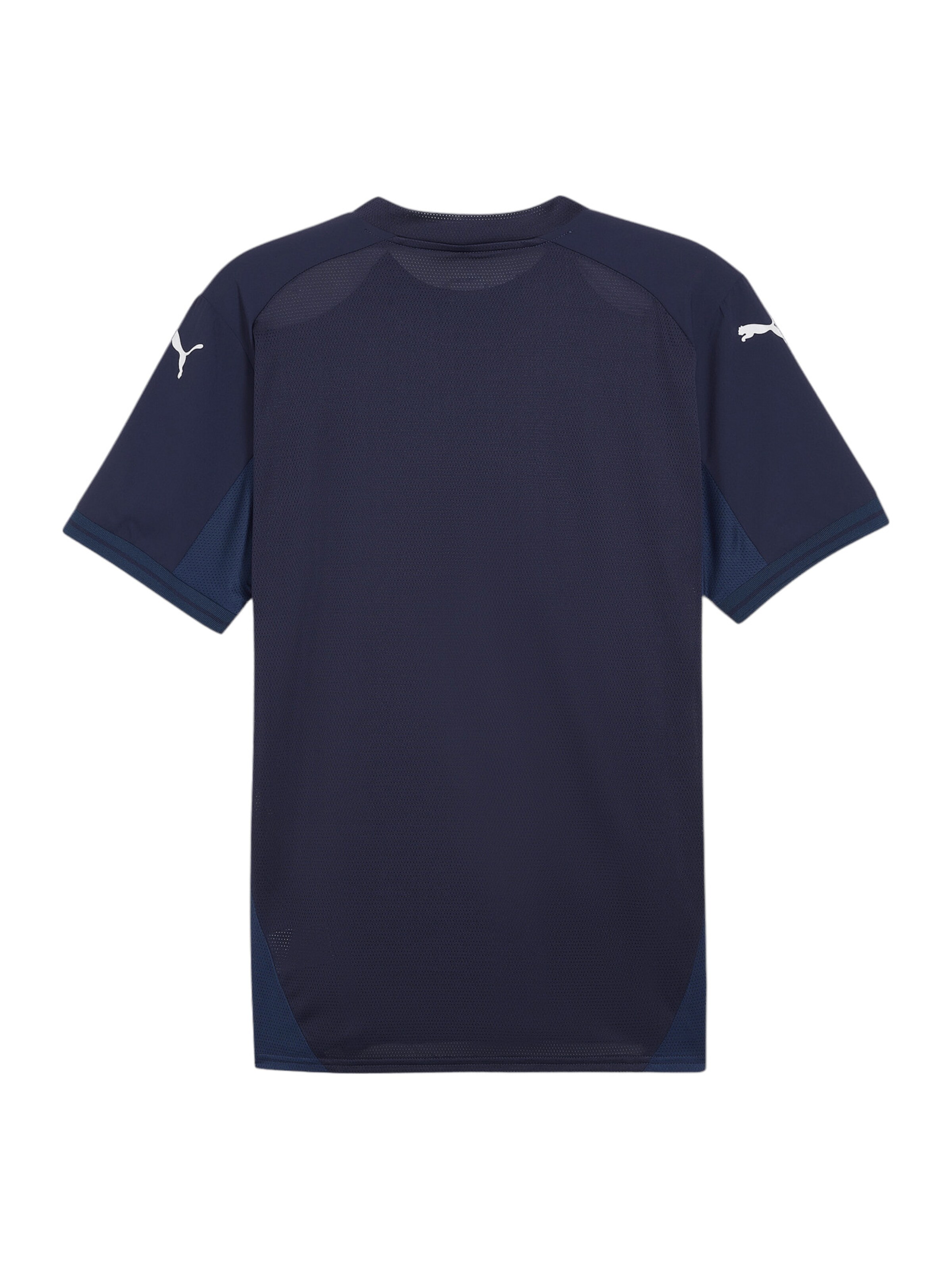 PUMA Performance Shirt 'TeamFinal' in Blue