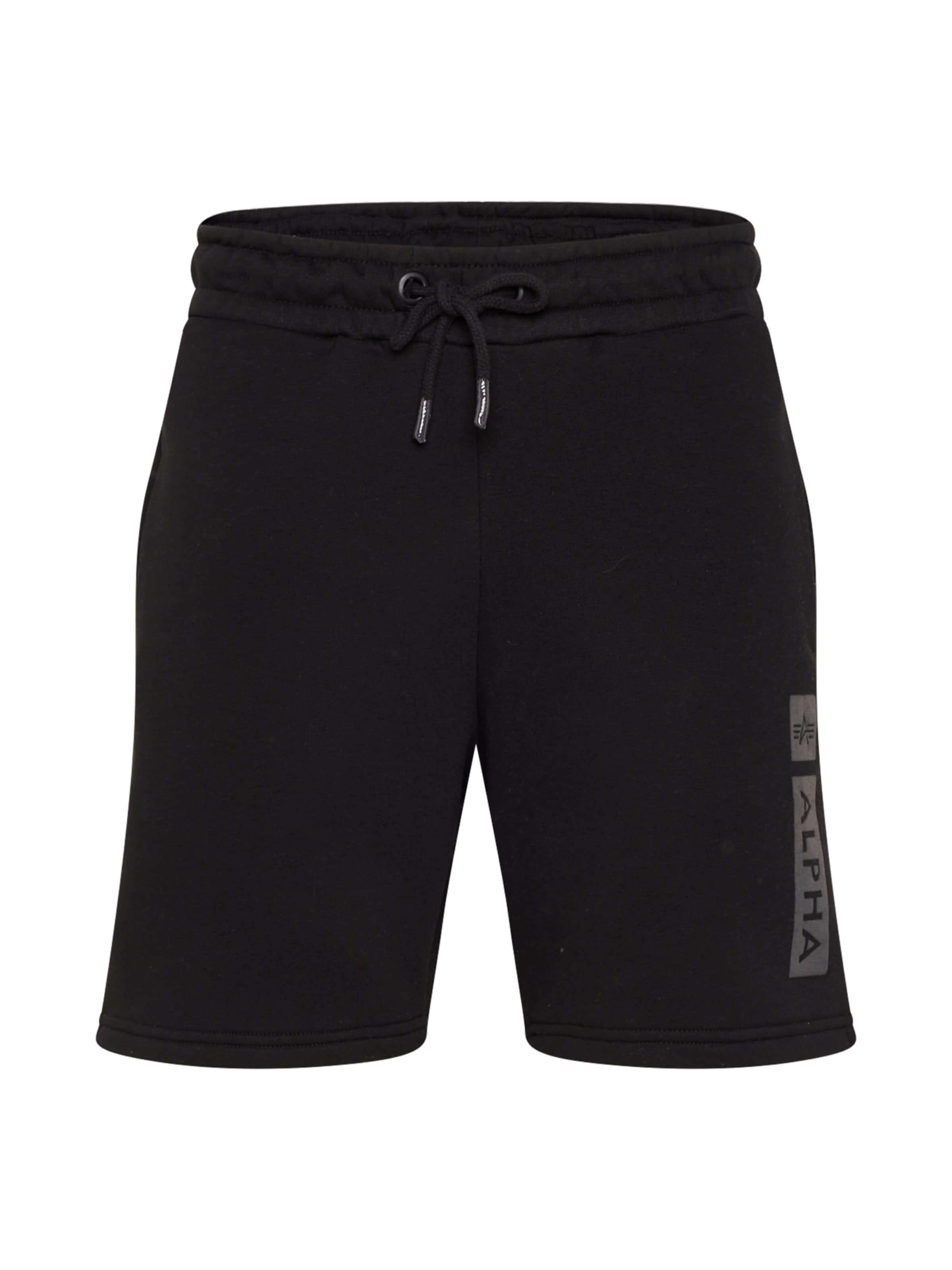 ALPHA INDUSTRIES Normální Kalhoty – černá: přední strana