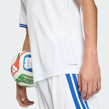 Maglia funzionale 'Griechenland 26 Authentic' di ADIDAS PERFORMANCE in bianco