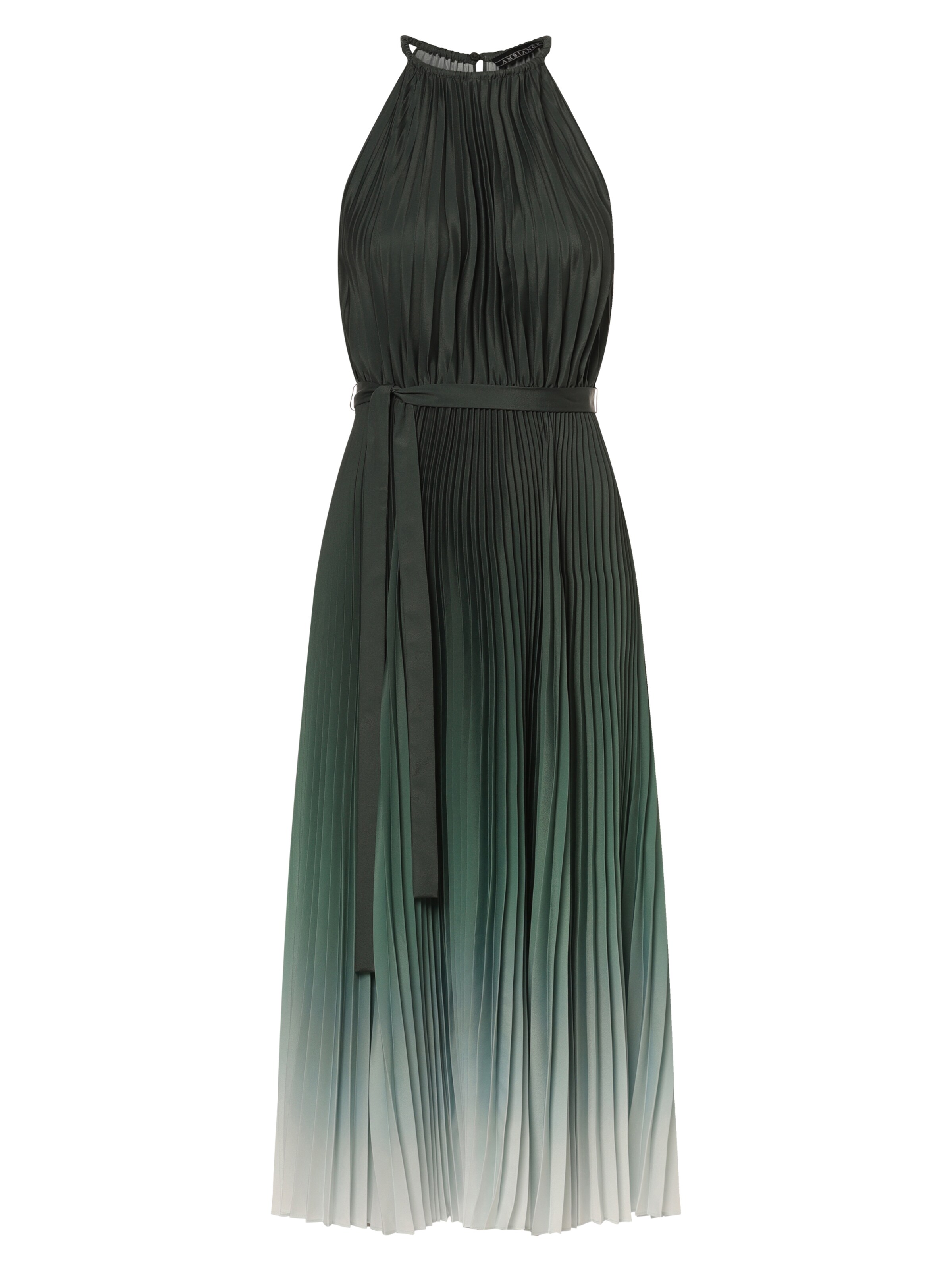 Ambiance Abendkleid in Grün: Vorderseite