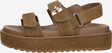 STEVE MADDEN Sandale 'Bigmona' in Braun: Vorderseite