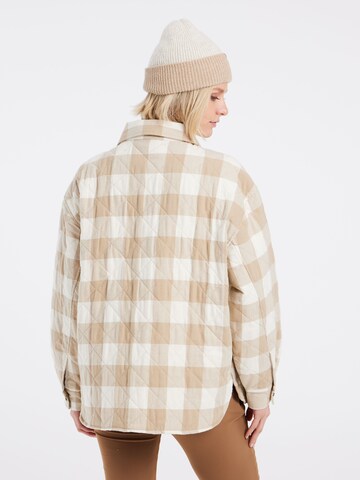 PROTEST Winter Jacket 'PRTOHTA' in Brown: front