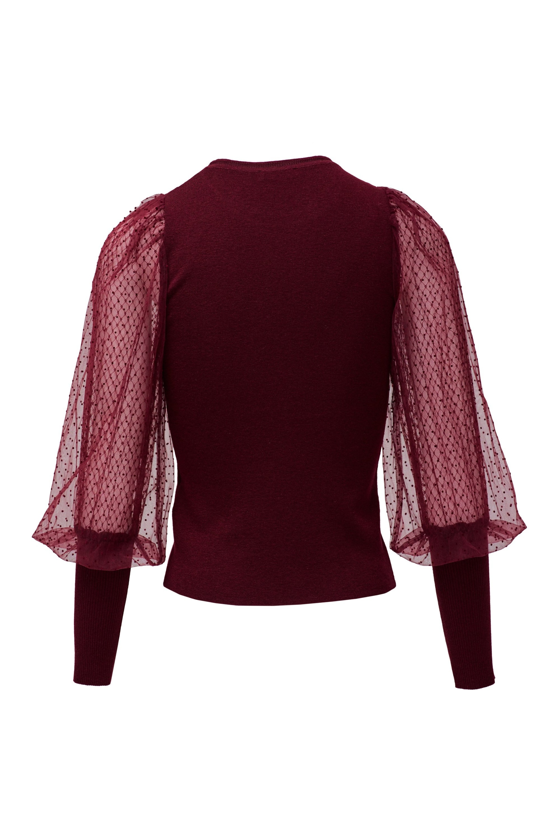 Salsa Jeans Trui in Rood