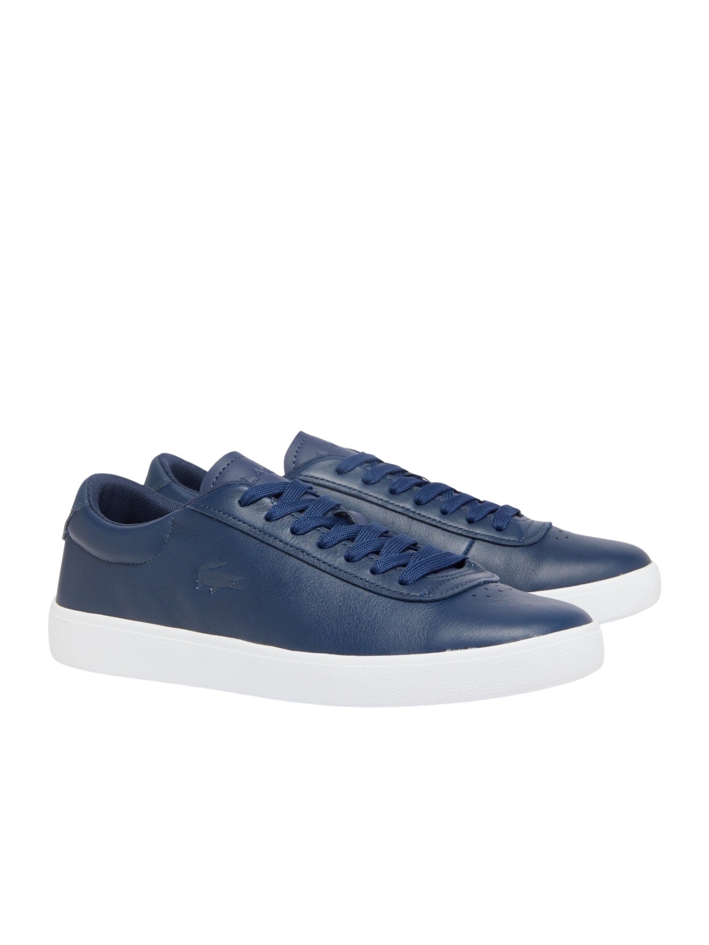 Baskets basses 'Baseshot Evo' LACOSTE en bleu