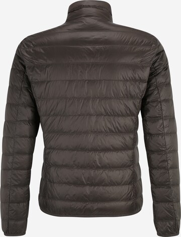 EA7 Emporio Armani Winter Jacket in Brown