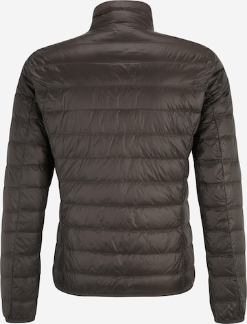 EA7 Emporio Armani Winter jacket in Brown