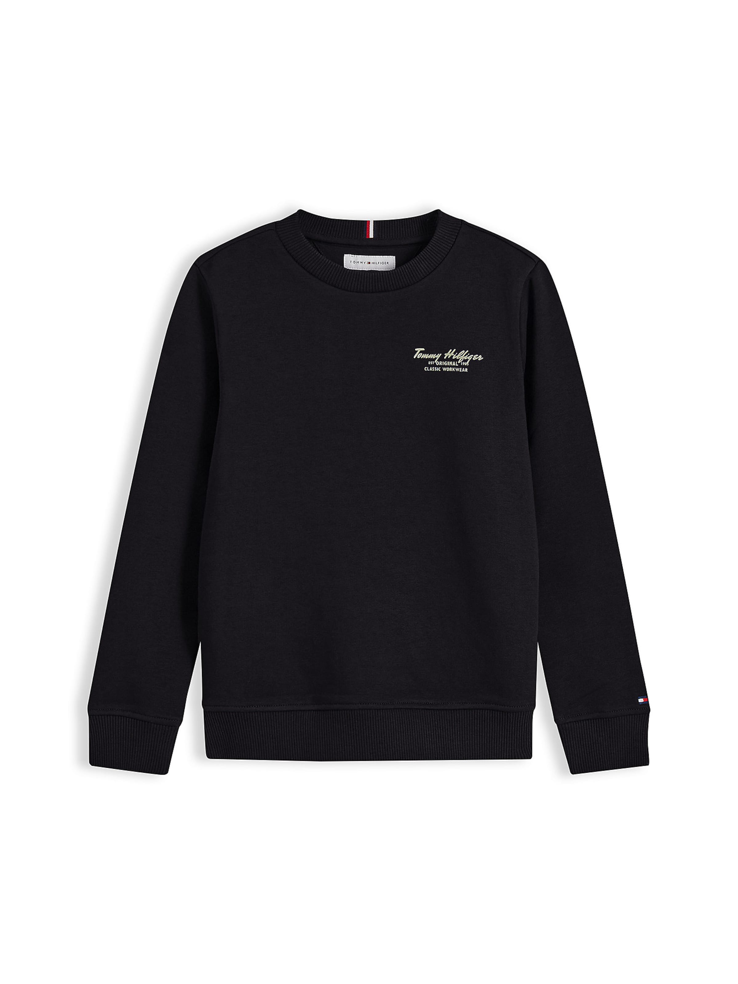 Sweat TOMMY HILFIGER en noir : devant