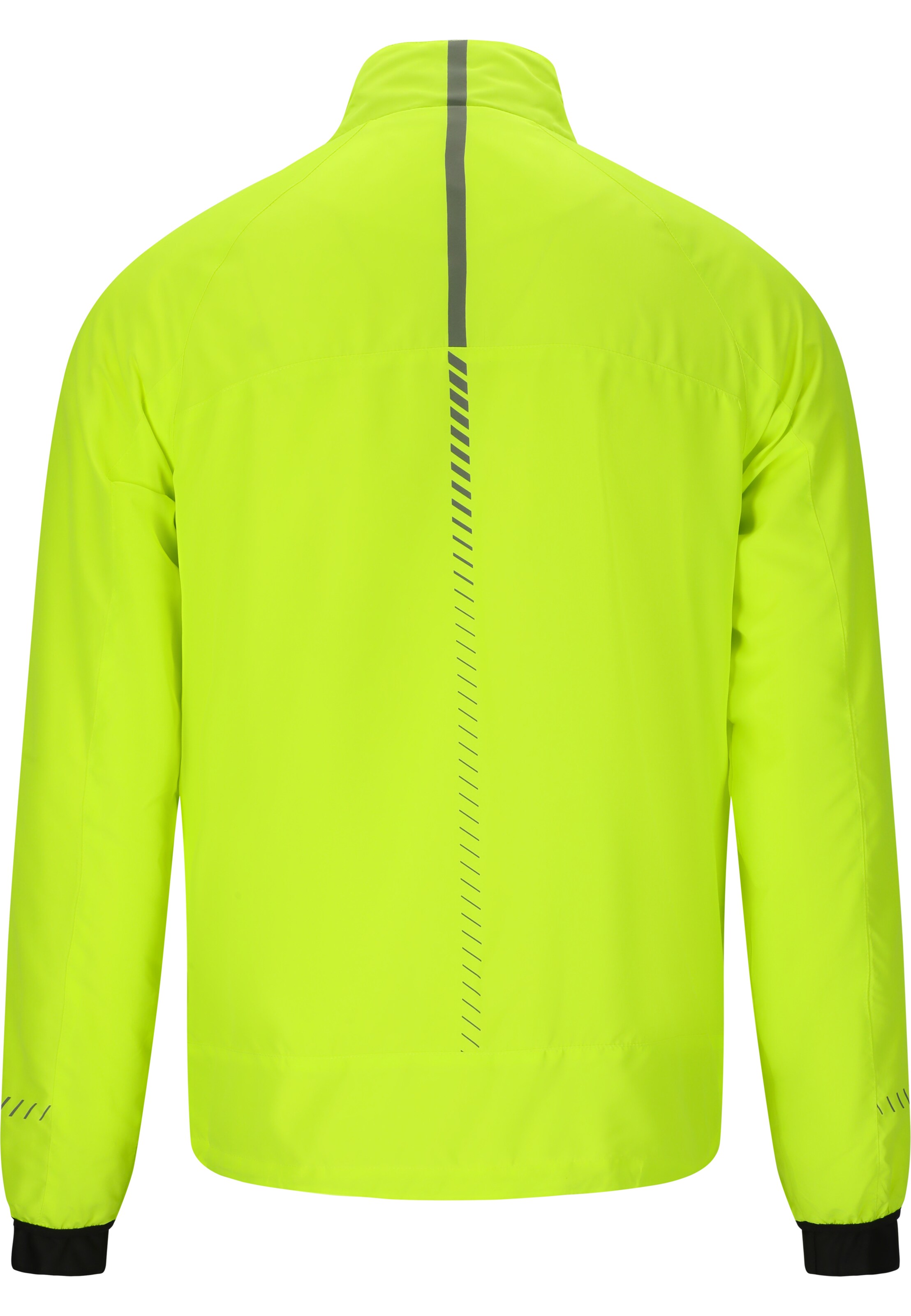 ENDURANCE Laufjacke 'Earlington V2' in Gelb