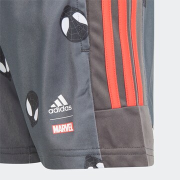 ADIDAS PERFORMANCE Trainingsanzug in Weiß